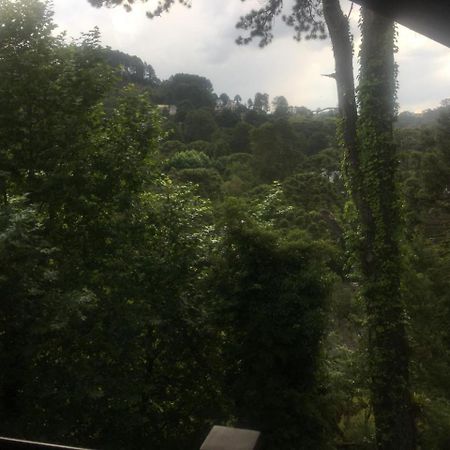 Aqui A Vida E Bella Daire Campos do Jordão Dış mekan fotoğraf
